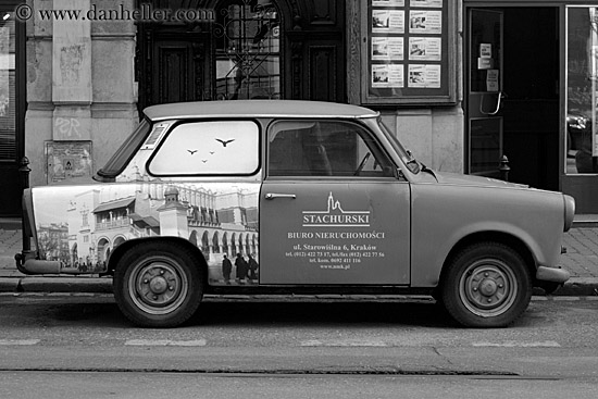 stachursky-car-w-bird-reflections-bw.jpg