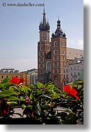 basilica, basilica virgin mary, christian, churches, europe, flowers, krakow, mary, nature, poland, religious, vertical, virgin, photograph