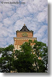 buildings, clock tower, clocks, clouds, europe, krakow, nature, perspective, poland, sky, structures, towers, trees, upview, vertical, photograph