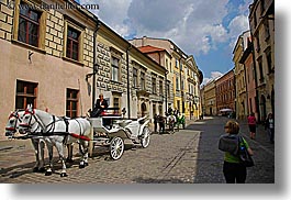 images/Europe/Poland/Krakow/HorseCarriage/horse-n-carriage-1.jpg