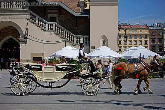 horse-n-carriage-4.jpg
