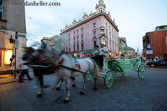 horse-n-carriage-6.jpg