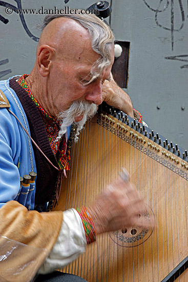 man-playing-odd-harp-5.jpg