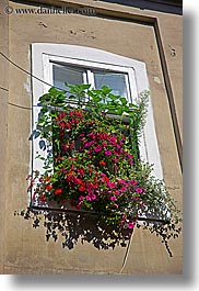 images/Europe/Poland/Krakow/Plants/flowers-in-window-boxes-2.jpg