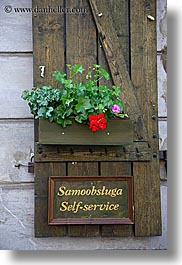 images/Europe/Poland/Krakow/Plants/red-geranium-over-self-service-sign.jpg