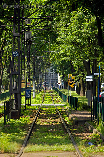 train-tracks-n-trees-1.jpg