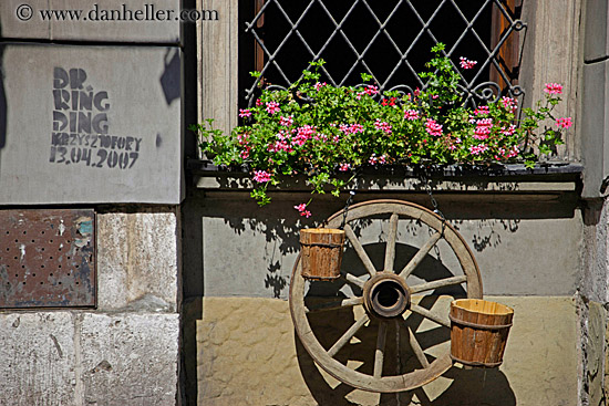 wood-wheel-w-flowers-n-window-2.jpg