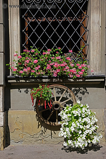 wood-wheel-w-flowers-n-window-3.jpg
