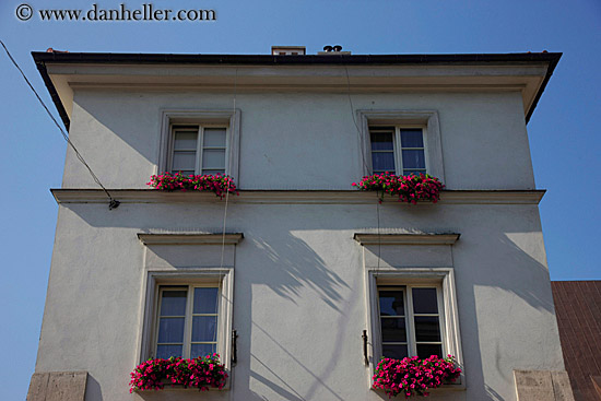 windows-n-flowers.jpg