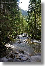 images/Europe/Poland/Waterfalls/stream-in-forest-1.jpg