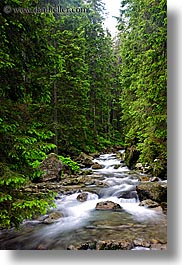 images/Europe/Poland/Waterfalls/stream-in-forest-2.jpg