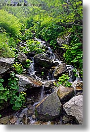 images/Europe/Poland/Waterfalls/stream-in-forest-3.jpg