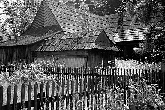 fences-n-barn-bw.jpg