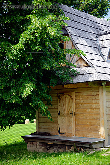 small-house-n-big-tree.jpg