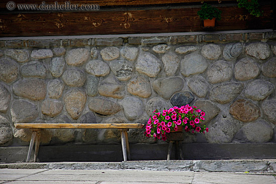 bench-n-pink-flowers.jpg