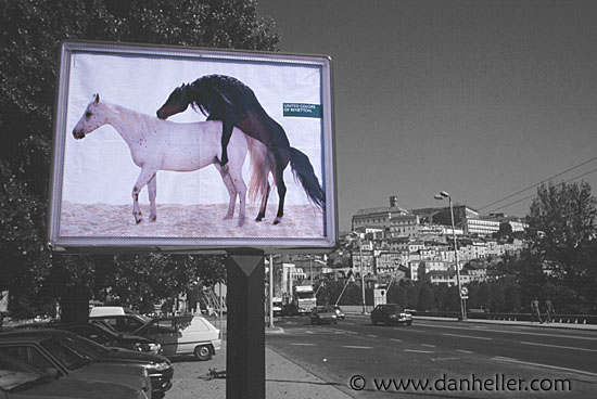 horses-sign.jpg