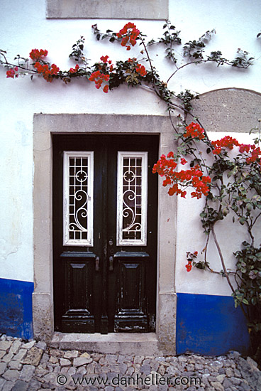 door-n-bougainvillea.jpg