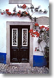 bougainvilleas, doors, doors & windows, europe, portugal, vertical, western europe, photograph