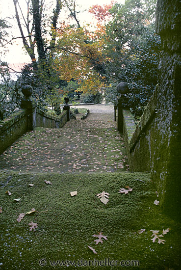 mossy-stairs.jpg