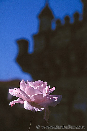 rose-castle.jpg