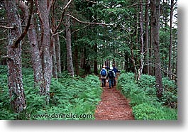 images/Europe/Scotland/GlenAfric/glen-afric-hiking-07.jpg