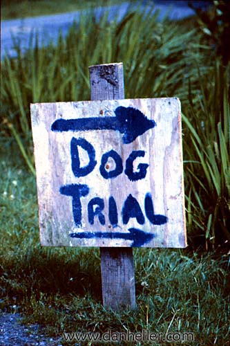 dog-trial.jpg