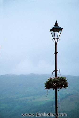 lamp-plant-post.jpg