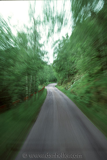 motion-blur-road-n-trees-1.jpg