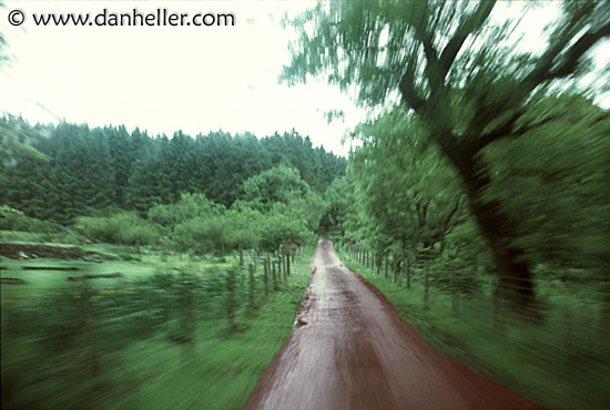 motion-blur-road-n-trees-2.jpg