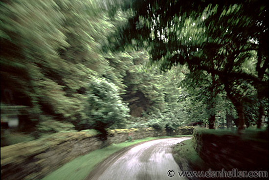 motion-blur-road-n-trees-3.jpg