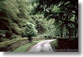 blur, england, europe, horizontal, motion, roads, scotland, speed, trees, united kingdom, photograph