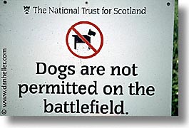 dogs, england, europe, horizontal, scotland, united kingdom, photograph