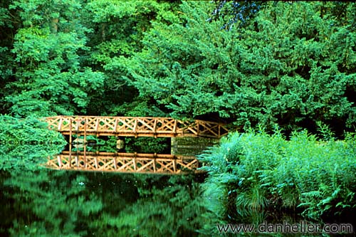 redwood-bridge.jpg