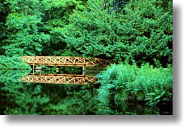 bridge, england, europe, horizontal, redwoods, scenics, scotland, united kingdom, photograph