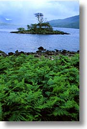 images/Europe/Scotland/Scenics/tree-island-a.jpg