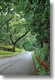 images/Europe/Scotland/Scenics/woodsy-road.jpg