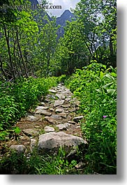 colors, europe, forests, green, materials, nature, paths, plants, rockies, slovakia, stones, trees, vertical, photograph