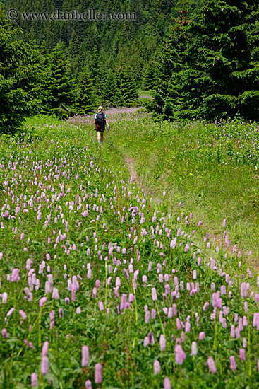 hiking-by-wildflowers-2.jpg
