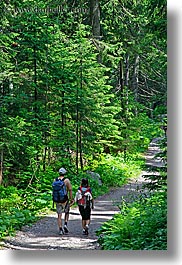 europe, hikers, hiking, paths, slovakia, vertical, photograph