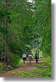 europe, hikers, hiking, paths, slovakia, slow exposure, vertical, photograph