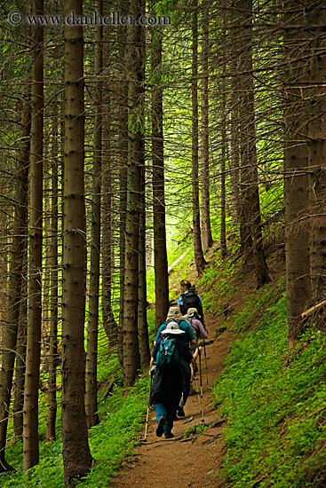 hiking-on-path-7.jpg