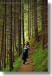 europe, hikers, hiking, paths, slovakia, vertical, photograph