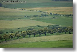 images/Europe/Slovakia/Landscapes/green-patches-of-land-3.jpg