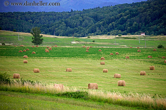 hay-bales-1.jpg