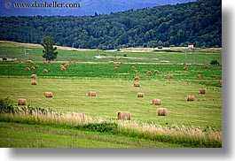 bales, colors, europe, green, hay, horizontal, landscapes, slovakia, photograph