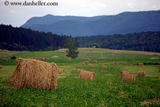 hay-bales-2.jpg
