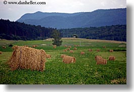 images/Europe/Slovakia/Landscapes/hay-bales-2.jpg