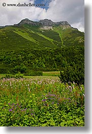 colors, europe, green, landscapes, mountains, slovakia, vertical, wildflowers, photograph