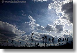 images/Europe/Slovakia/Misc/clouds-n-tree-silhouettes-2.jpg