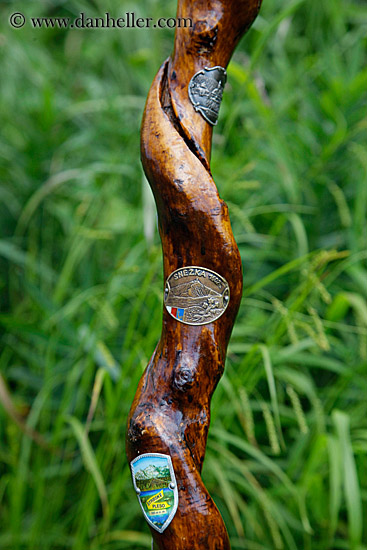 hiking-cane-w-emblems-1.jpg